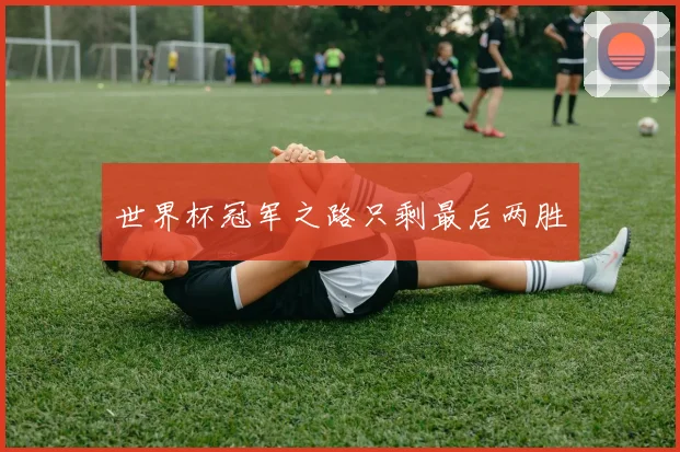 世界杯冠军之路只剩最后两胜