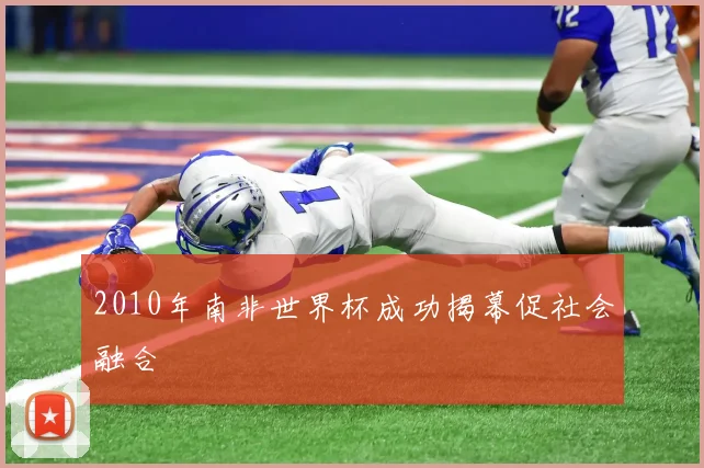 2010年南非世界杯成功揭幕促社会融合