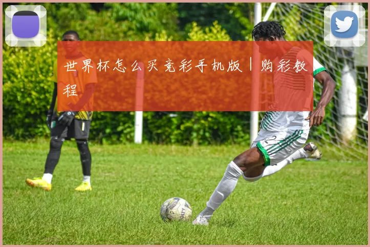 世界杯怎么买竞彩手机版｜购彩教程