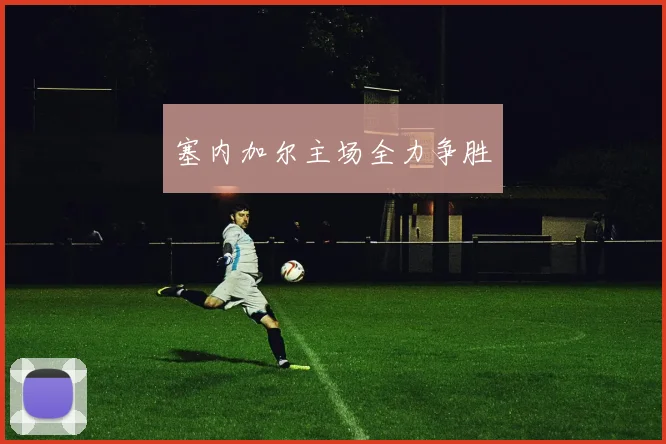塞内加尔主场全力争胜